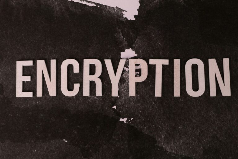 Black and white abstract image with the word 'ENCRYPTION' prominently displayed.